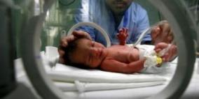 156 مولودا جديدا يوميا في قطاع غزة خلال يناير