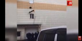 فيديو: قفزوا من النوافذ هرباً من حريق المركز التجاري في روسيا 