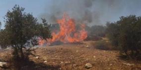 مستوطنون  يحرقون محاصيل زراعية 