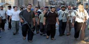 مستوطنون يعتدون بالضرب على طفل وسط مدينة الخليل