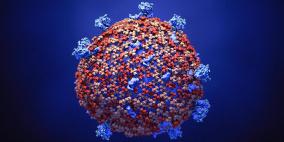 مقال علمي: كيف تهاجم فايروسات كورونا جسم الانسان ؟