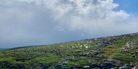 الطقس: استمرار تأثير المنخفض الجوي 