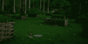 فيديو.. حشرات مضيئة تزين ليل غابة صينية