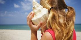 لماذا نسمع صوت البحر عند وضع الصدف على آذاننا؟