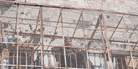 مسؤول ألماني ينشر صورة من زيارته للخليل ويكتب عليها: "لن أنساها"