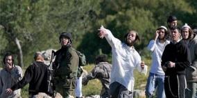 مستوطنون يغلقون طريق البرية في تقوع جنوب شرق بيت لحم 