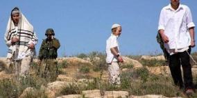 مستوطنون يهاجمون قاطفي الزيتون في يانون جنوب نابلس