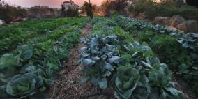 "الزراعة التحررية" المفهوم الضروري للتنمية الزراعية