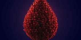 المنظمات الاهلية بالتعاون مع وزارة الصحة تطلق حملة تبرع بالدم