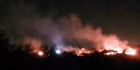 مستوطنون يحرقون أشجار زيتون في مجدل بني فاضل جنوب نابلس