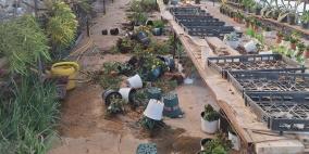 مستوطنون يهاجمون مشتلا ويتلفون محتوياته في دير شرف غرب نابلس