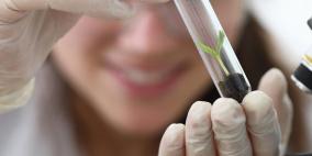 الحد من المخاطر نهج علمي وعملي: خارطة الطريق لمكافحة التدخين