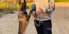 نقطة ضوء.. الحرية لـ"لوسي"