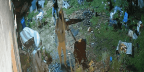 مستوطنون يصيبون مسنة وأولادها ويسرقون 30 رأسا من الأغنام شرق الخليل