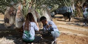 متطوعون من القدس ورام الله يقطفون ثمار النخيل في مزارع مدينة أريحا