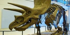العلماء يحلون لغز "فرانكنشتاين الديناصور"