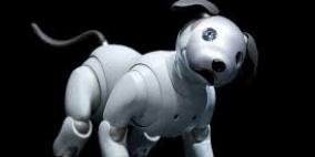 سوني تعيد إحياء كلبها الآلي AIBO مع جعله أكثر ذكاء وسلاسة في الحركة