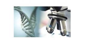 العلماء يستعينون بالديدان لتحديد أعمار البشر