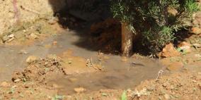 بلدية الخليل تحوّل جنة القواسمي إلى مكرهة صحية 