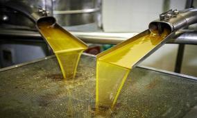 خاص| الغش في زيت الزيتون.. كيف يحمي المستهلك نفسه في فلسطين؟