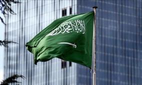 السعودية: نبذل جهودا حثيثة لوقف العدوان الإسرائيلي وزيادة الاعتراف الدولي بفلسطين