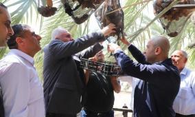 خاص| التمر الفلسطيني... ثروة زراعية تواجه تحديات الاحتلال وتنافس في 60 سوقًا عالميًا
