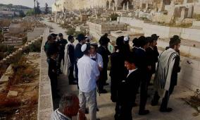 مجلس الإفتاء الأعلى يدعو إلى نجدة مقبرة باب الرحمة بالقدس