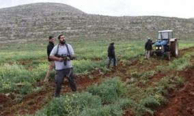 للاستيلاء عليها: مستوطنون يحرثون أراضي في المنيا جنوب شرق بيت لحم