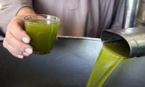 "الزيت الذهبي 2025": منافسة فلسطينية لاختيار أفضل زيت زيتون وطني بمعايير دولية