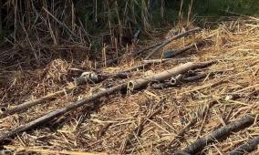 مستوطنون يقطعون خطوط ناقلة للمياه في الأغوار الشمالية 