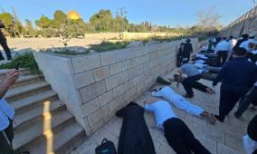 مستعمرون يقتحمون الأقصى في خامس أيام "الأنوار العبري" ويؤدون السجود الملحمي