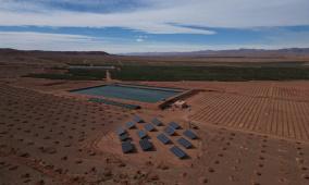 "النبالي والفارس" تعلن عن إطلاق مشروعها الاستثماري الزراعي “تالا” في المغرب