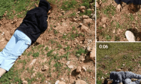 إصابة متضامنين أجنبيين في هجوم للمستوطنين على قصرة جنوب نابلس