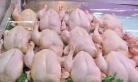 خاص | غلاء أسعار الدواجن في رمضان.. أزمة إنتاج أم فوضى تسعير؟