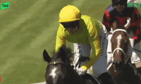 نتائج كأس دبي العالمي 2026: "أمبودسمان" يهدي جودلفين لقب "دبي تيرف" بـ 2.9 مليون دولار (بالفيديو)