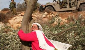 شؤون المرأة: في يوم الأرض تتجذر المرأة الفلسطينية كأرضها صامدة وحارسة للهوية والوجود