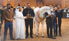 الخيول الفلسطينية تحقق إنجازا رياضيا في بطولة دبي الدولية للجواد العربي 2026