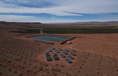 "النبالي والفارس" تعلن عن إطلاق مشروعها الاستثماري الزراعي “تالا” في المغرب