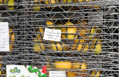 سليمية يعلن إنجاز الاعتماد الرسمي للمنتجات الفلسطينية في السوق السعودي