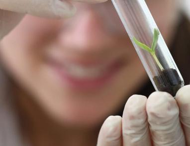 الحد من المخاطر نهج علمي وعملي: خارطة الطريق لمكافحة التدخين