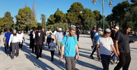 مستوطنون يقتحمون الأقصى ويؤدون السجود الملحمي