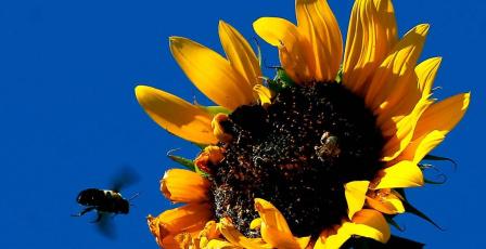 الطقس: ارتفاع على درجات الحرارة حتى نهاية الأسبوع