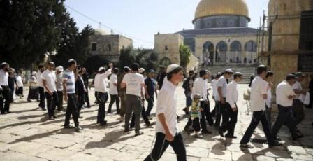 480 مستوطنا يقتحمون المسجد الأقصى