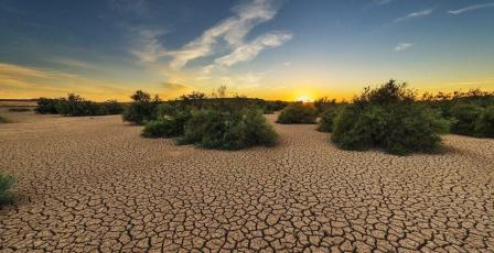 فلسطين تحدّث خطتها الوطنية لمواجهة التغير المناخي حتى عام 2040