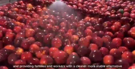 تركيب 16 جهاز هاضم حيوي في شركات الصناعات الغذائية بمحافظة طوباس