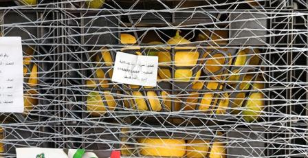 سليمية يعلن إنجاز الاعتماد الرسمي للمنتجات الفلسطينية في السوق السعودي