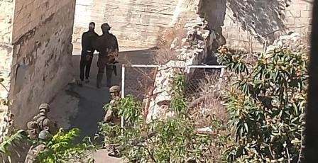 قوات الاحتلال تعتقل مواطنا وتطارد رعاة الأغنام في مسافر يطا