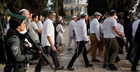 فيديو | مستوطنون يقتحمون المسجد الأقصى ويؤدون طقوسًا تلمودية