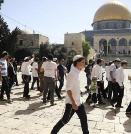 خاص| السماح بحمل أوراق الصلاة اليهودية في الأقصى… خطوة خطيرة لتغيير الوضع القائم