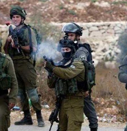 إصابة شاب بالرصاص الحي خلال اقتحام الاحتلال مدينة قلقيلية